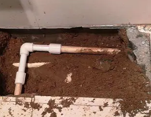 新宁测漏水哪家好