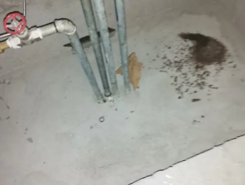 新宁卫生间测漏水价格明细