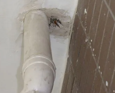 新宁漏水检测哪家好